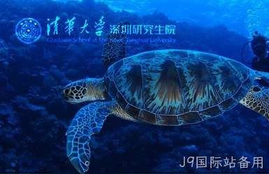点击查看