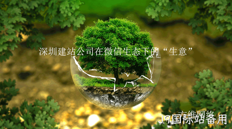 深圳建站公司微信生态