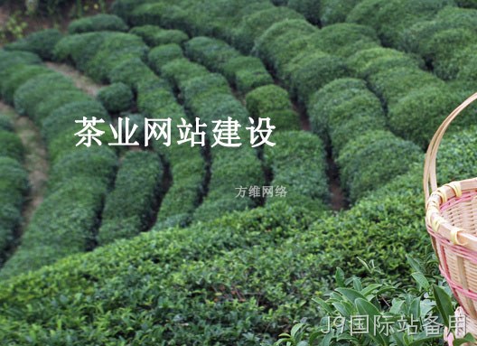 茶业网站建设