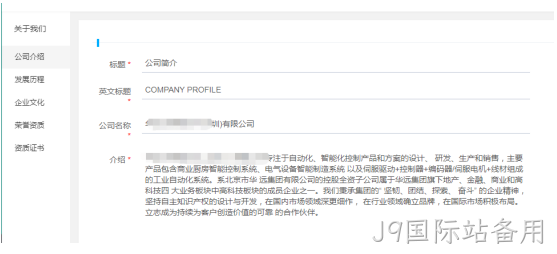 企业网站开发