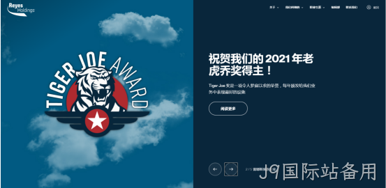 网站设计4
