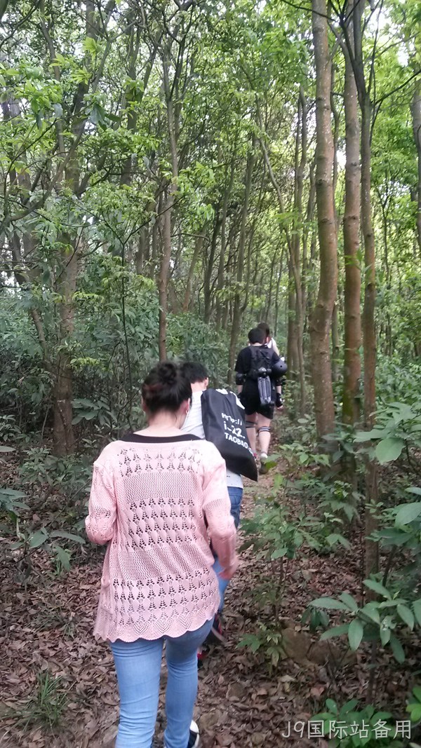 J9国际站备用仙湖行