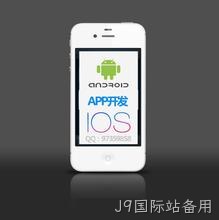 APP定制开发