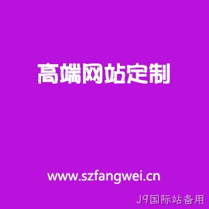 高端定制网站