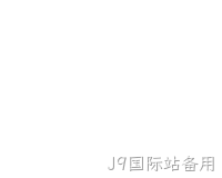网站开发