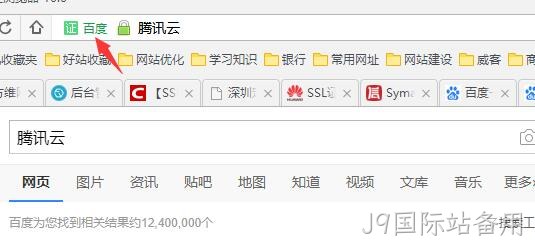 HTTPS 公司名显示2