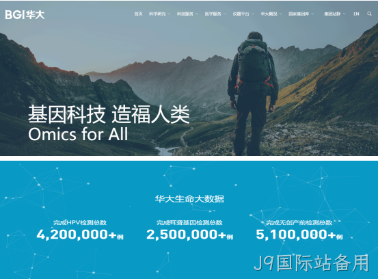 网站案例