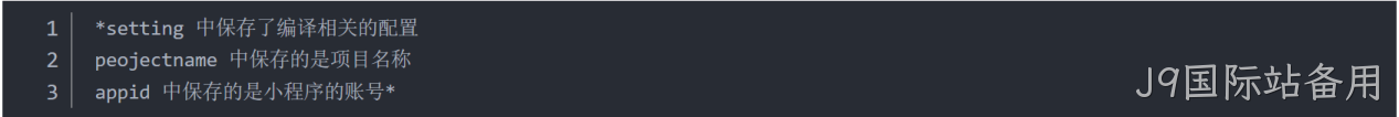 JSON 配置文件