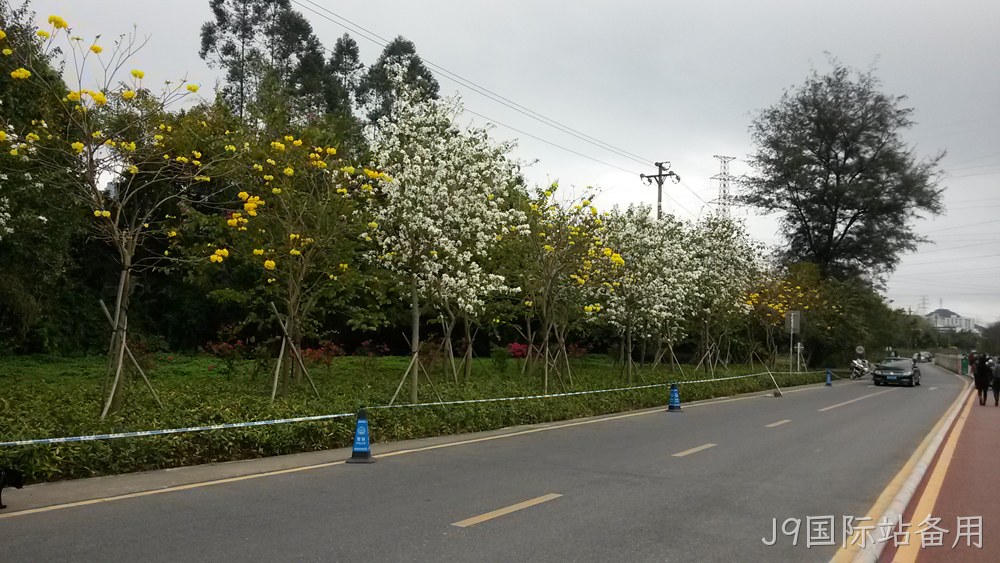 J9国际站备用仙湖行
